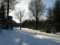 /album/fotogalerie/a20120118-144220-jpg/